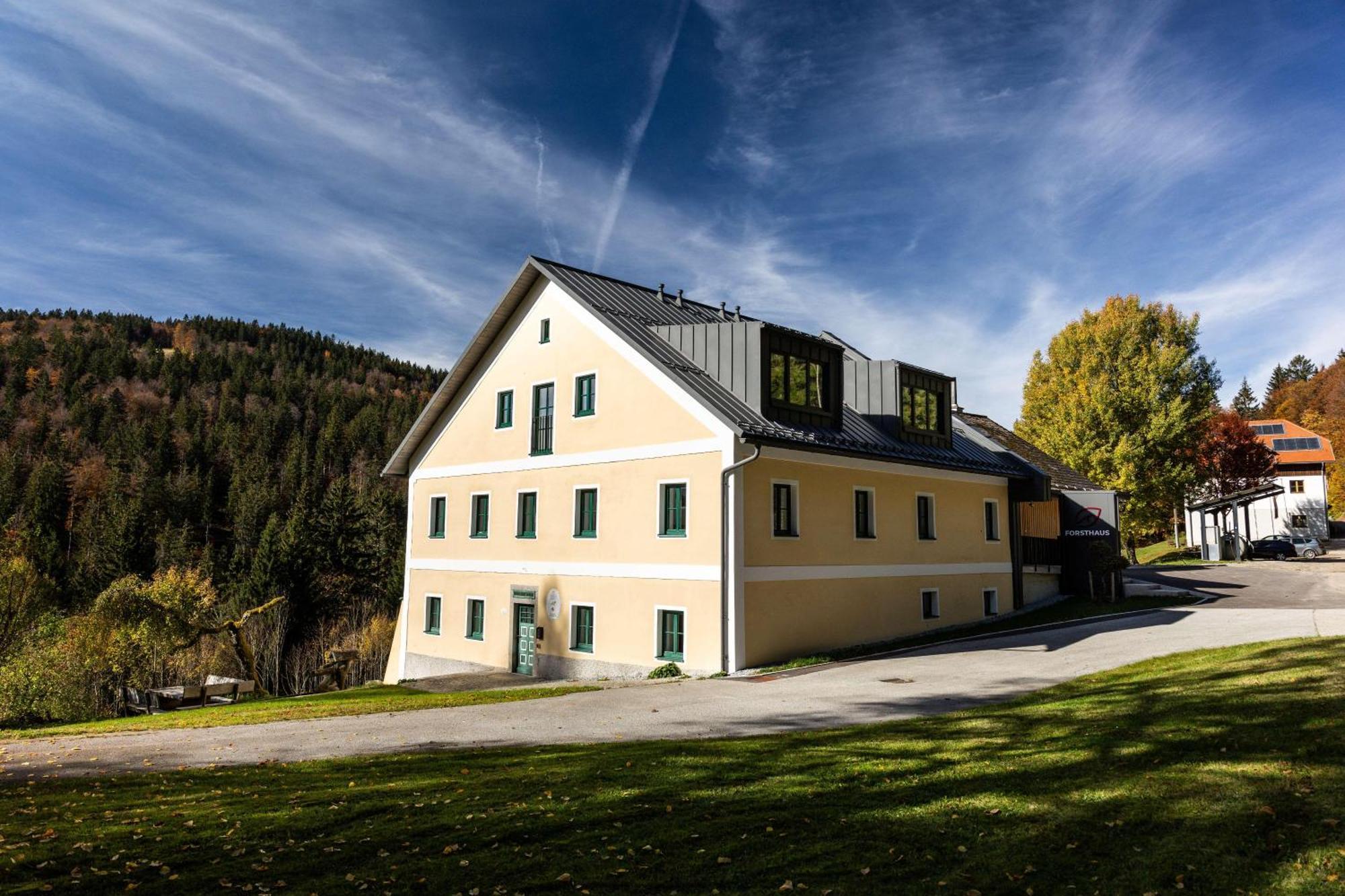 Forsthaus Apartments - Ski + Bike & Hike 클라퍼 암 호흐피히트 외부 사진