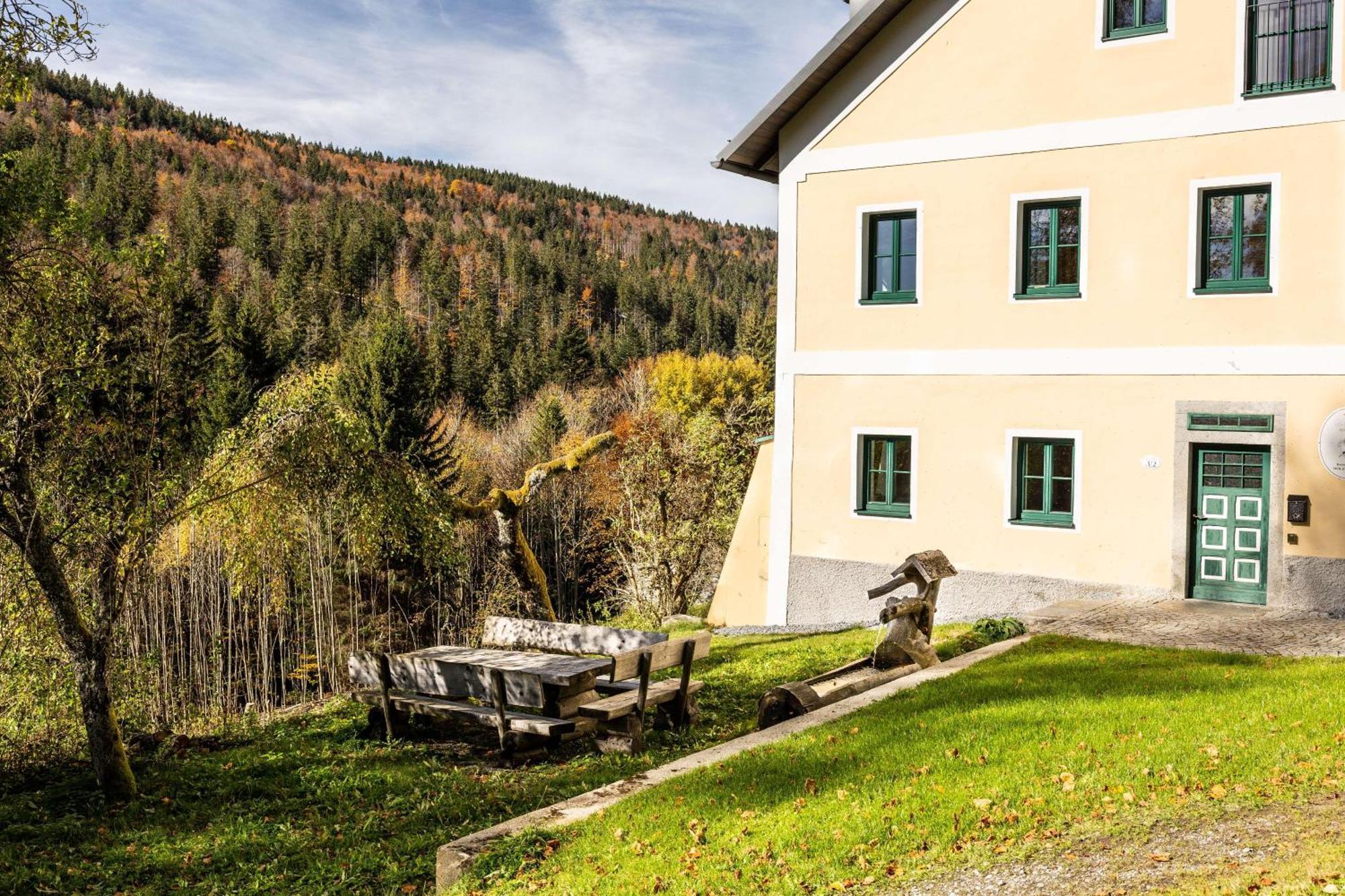 Forsthaus Apartments - Ski + Bike & Hike 클라퍼 암 호흐피히트 외부 사진