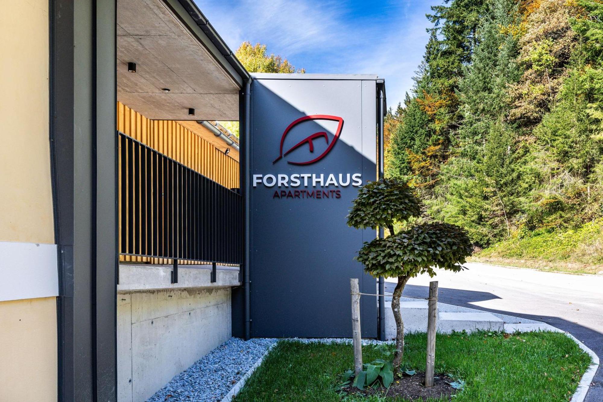 Forsthaus Apartments - Ski + Bike & Hike 클라퍼 암 호흐피히트 외부 사진